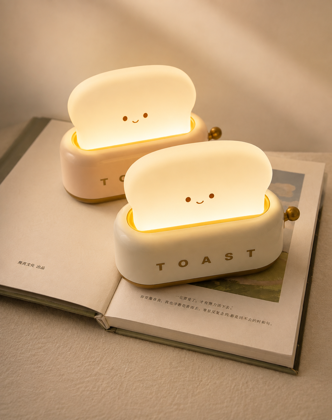 The Cute Toast Lamp