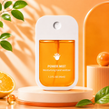 Hand Sanitizer and Moisturizing Spray 45ml