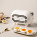 Mini Electric Egg Cooker