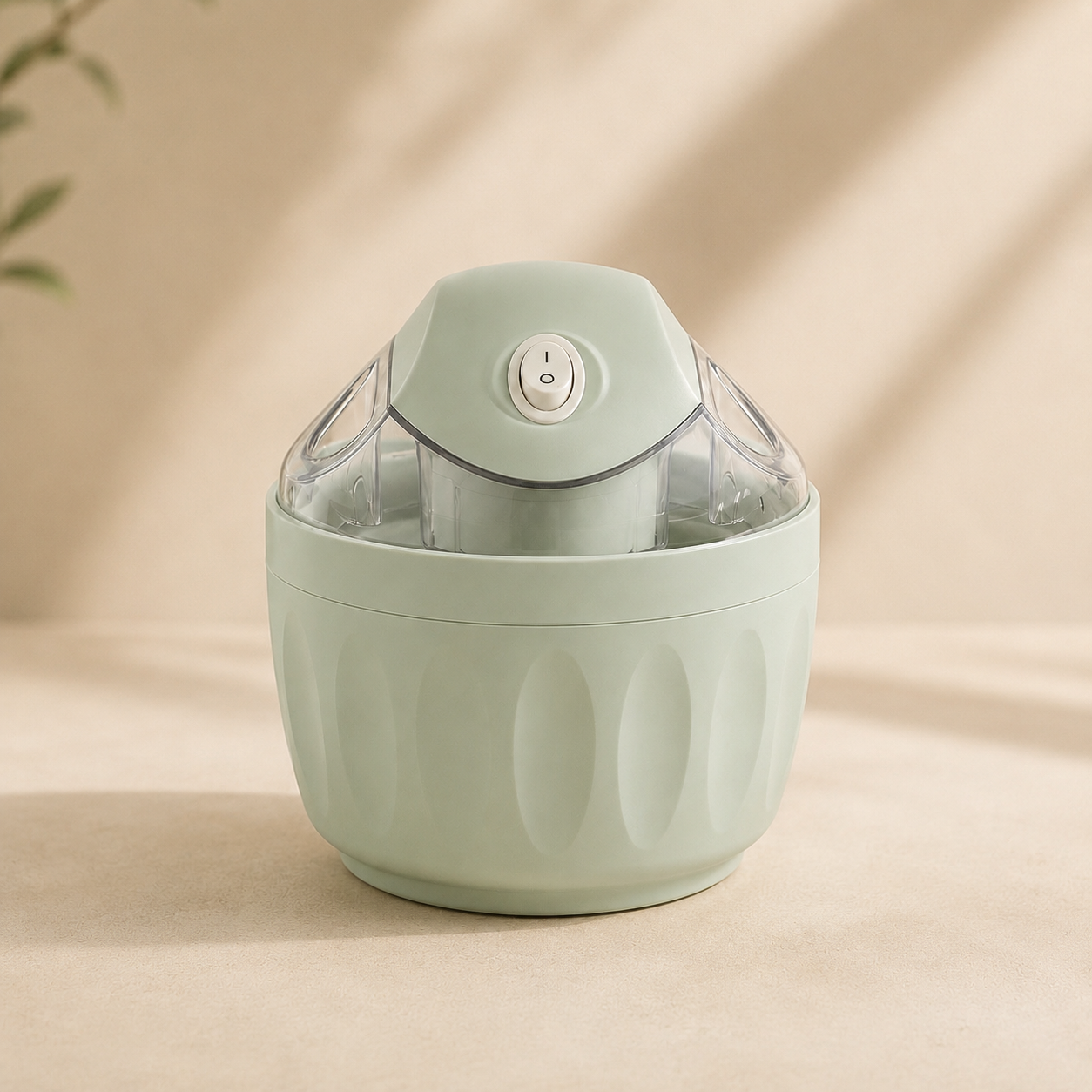 Homemade sweets and ice cream maker